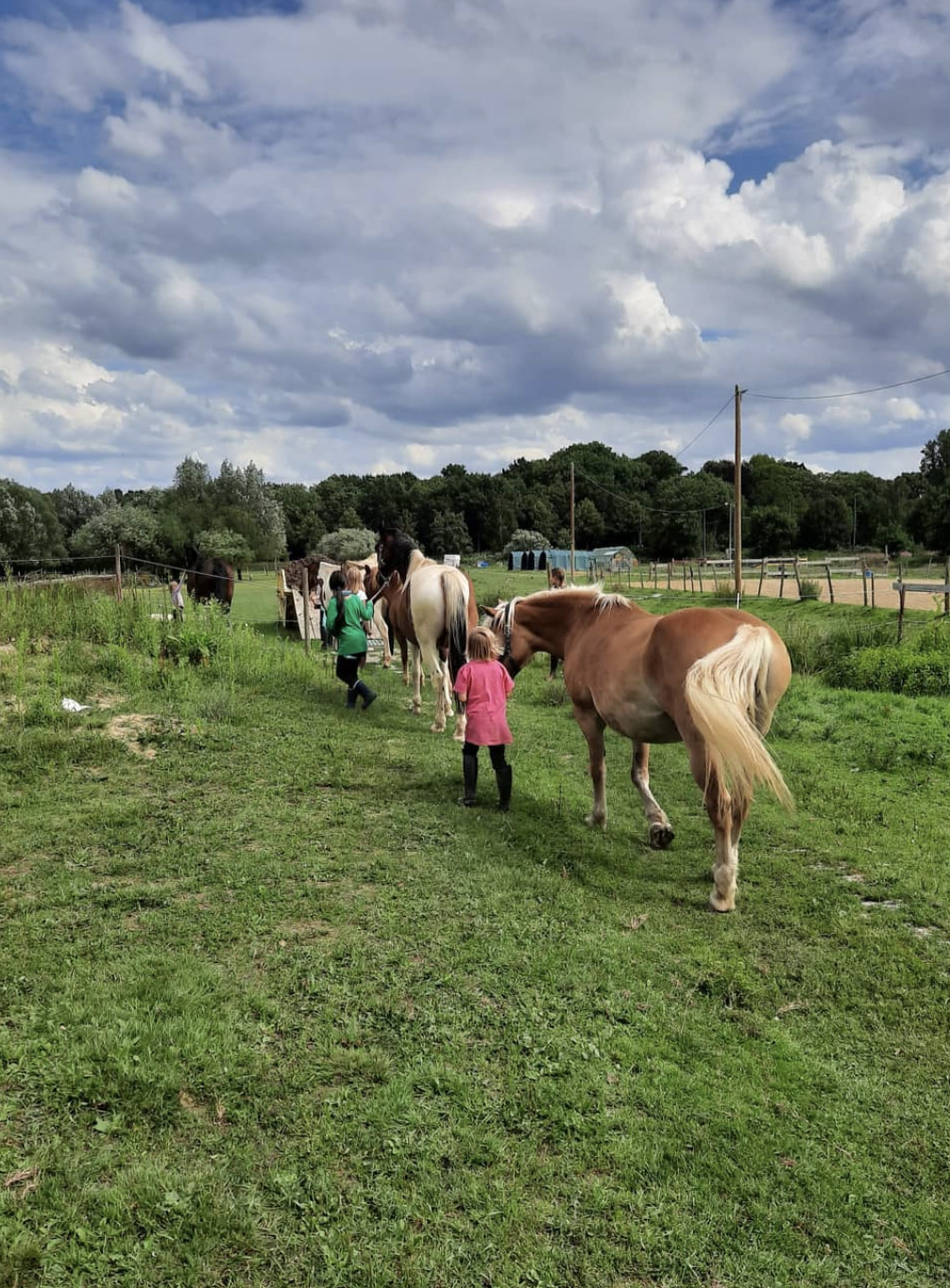 Kinder gehen mit Pferden spazieren